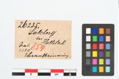 Etikett zu Bernsteinringperle (NHMW-PRAE-026235)